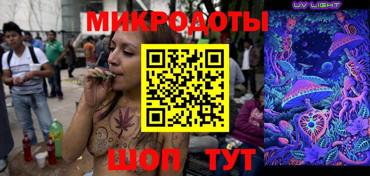 Галлюциногенные грибы Psilocybe Гулькевичи